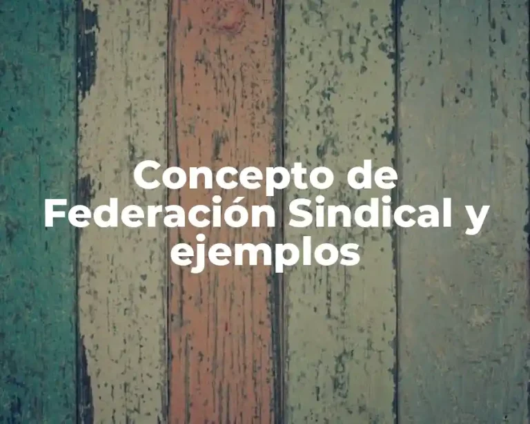 Concepto de Federación Sindical y ejemplos