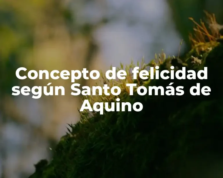 Concepto de felicidad según Santo Tomás de Aquino