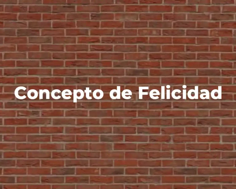 Concepto de Felicidad