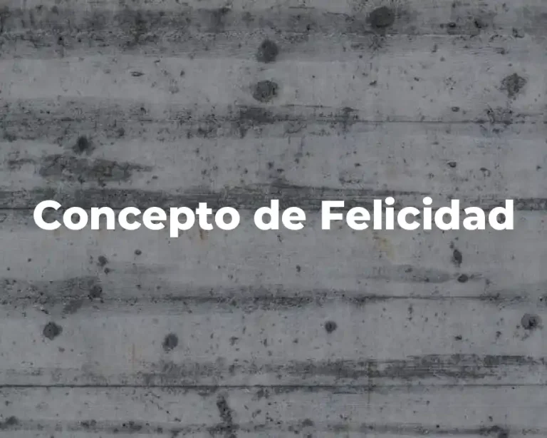 Concepto de Felicidad