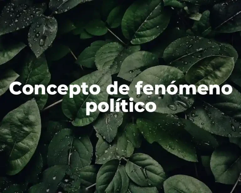 Concepto de fenómeno político