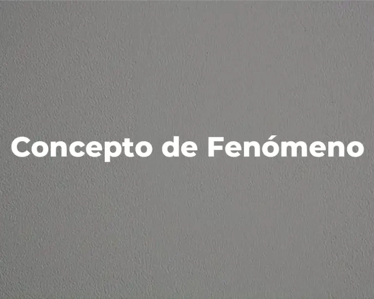 Concepto de Fenómeno