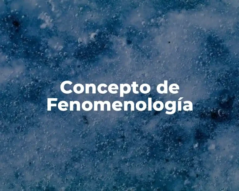 Concepto de Fenomenología