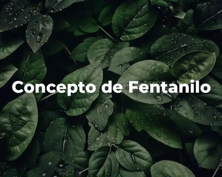 Concepto de Fentanilo