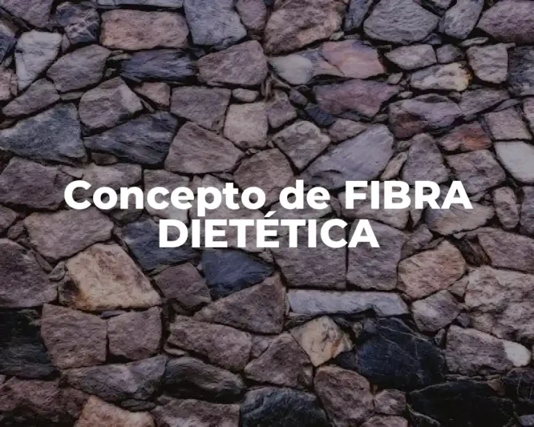 Concepto de FIBRA DIETÉTICA