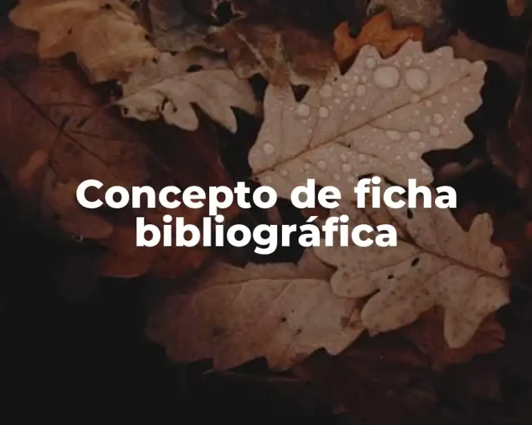 Concepto de ficha bibliográfica