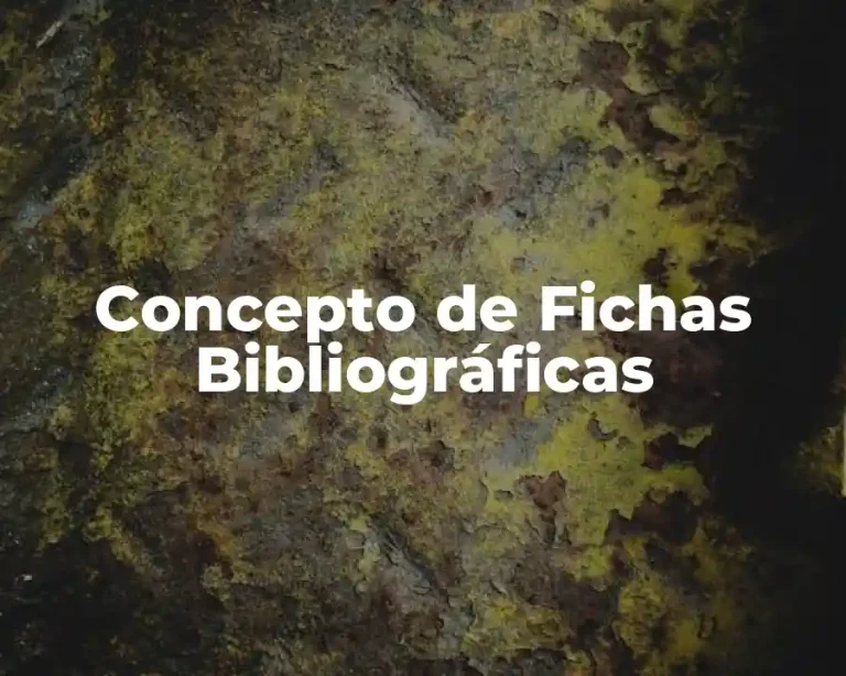 Concepto de Fichas Bibliográficas