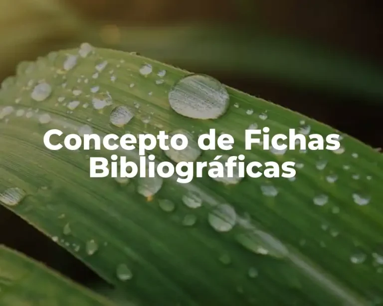 Concepto de Fichas Bibliográficas