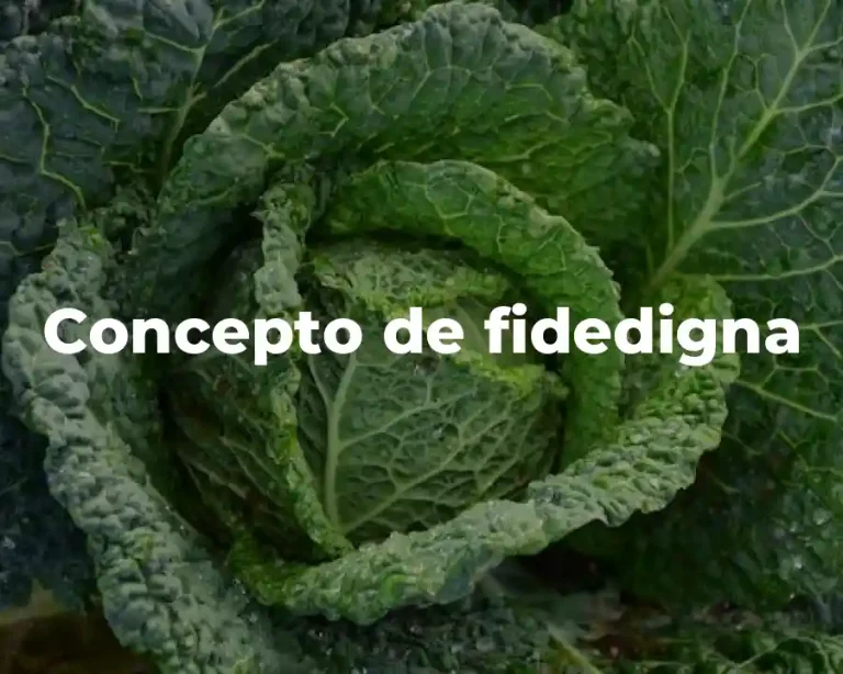 Concepto de fidedigna