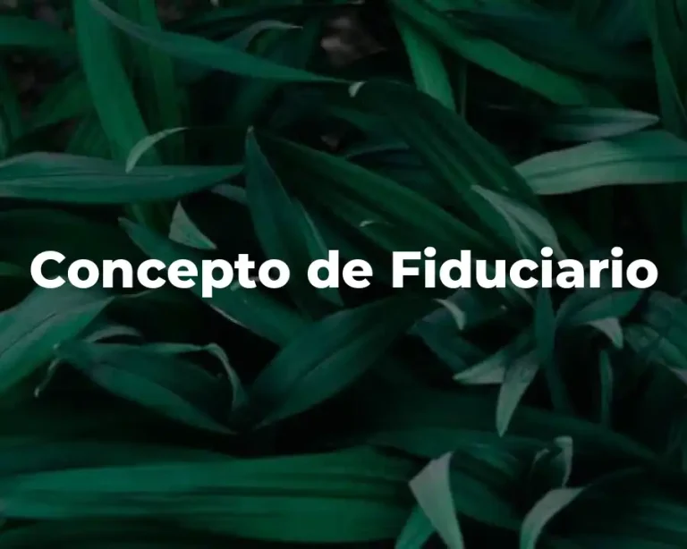 Concepto de Fiduciario