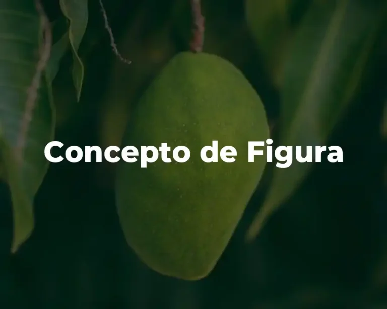 Concepto de Figura