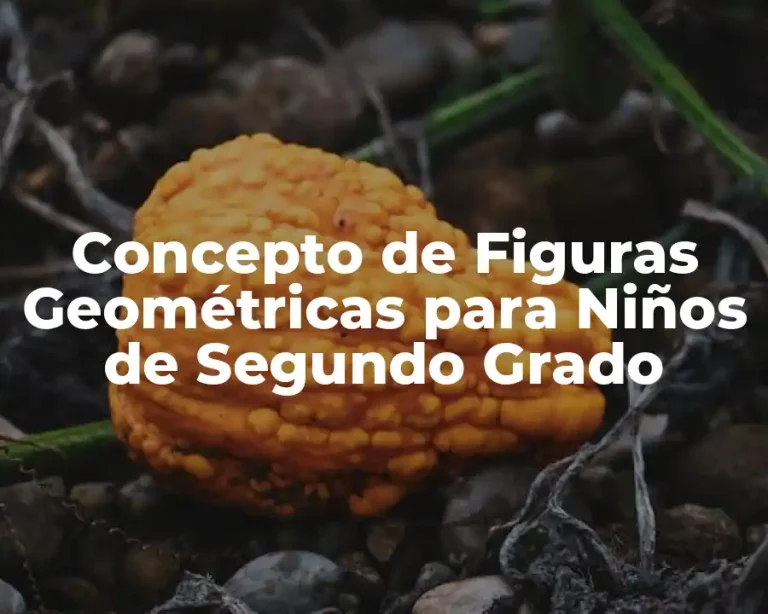 Concepto de Figuras Geométricas para Niños de Segundo Grado