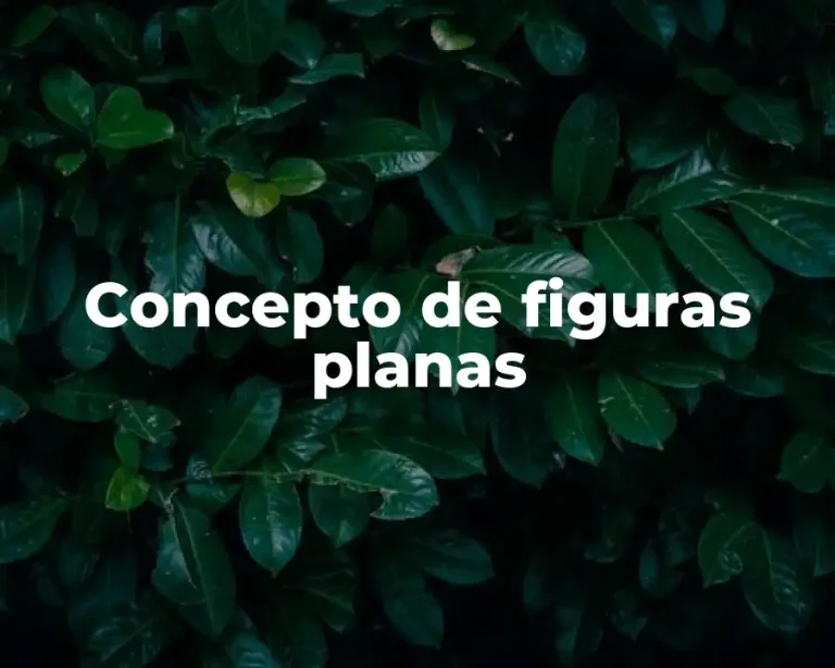 Concepto de figuras planas