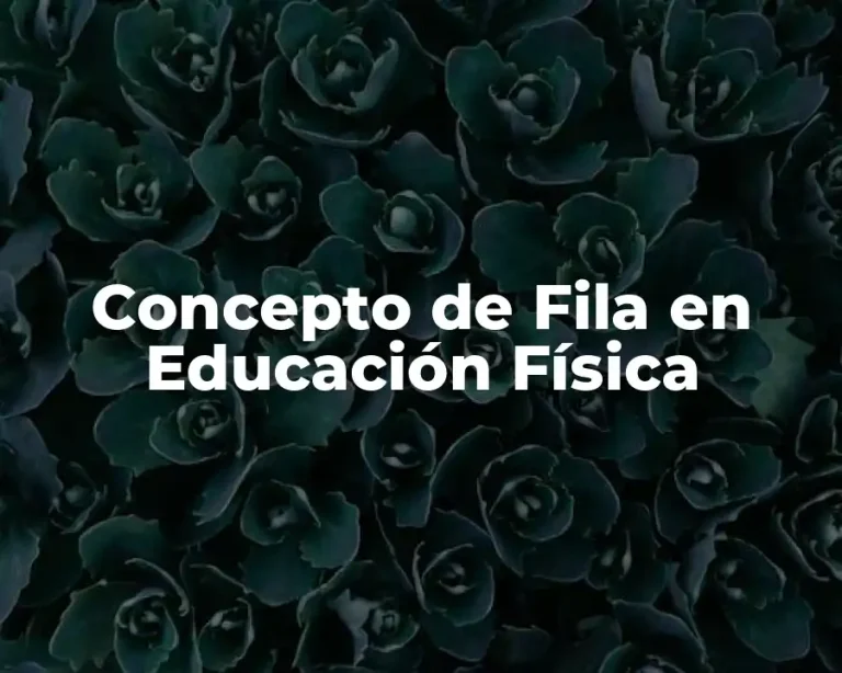 Concepto de Fila en Educación Física