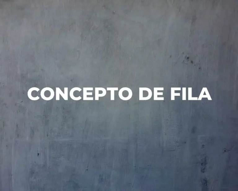 CONCEPTO DE FILA