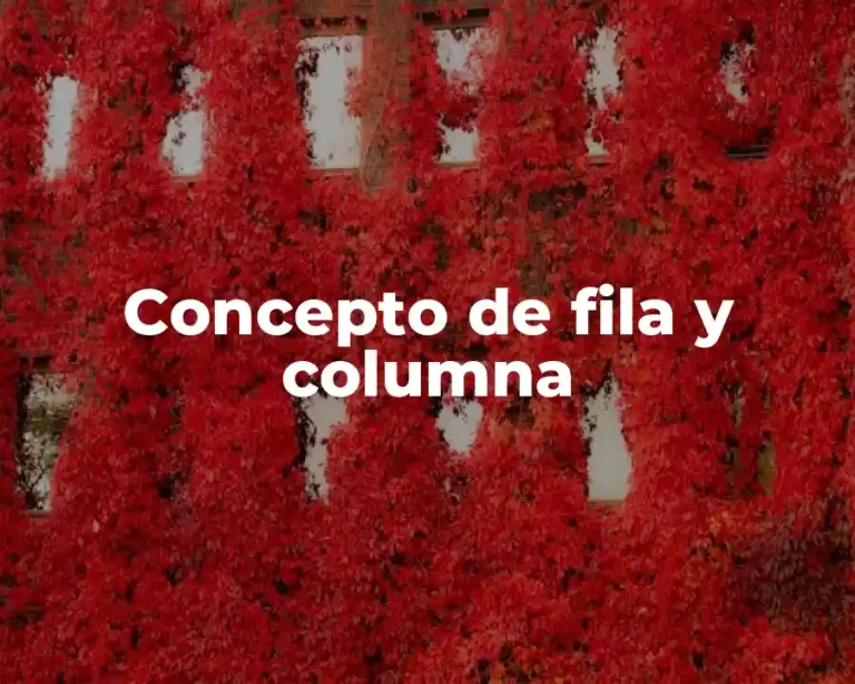 Concepto de fila y columna
