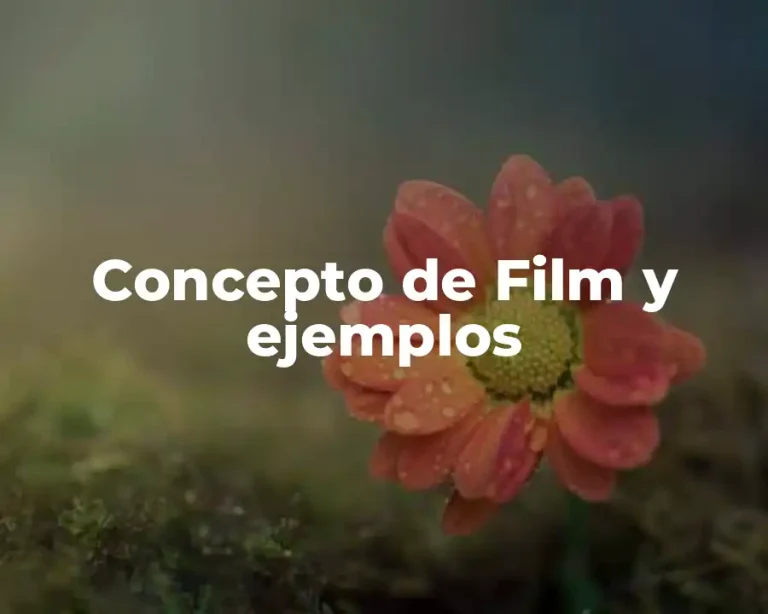 Concepto de Film y ejemplos