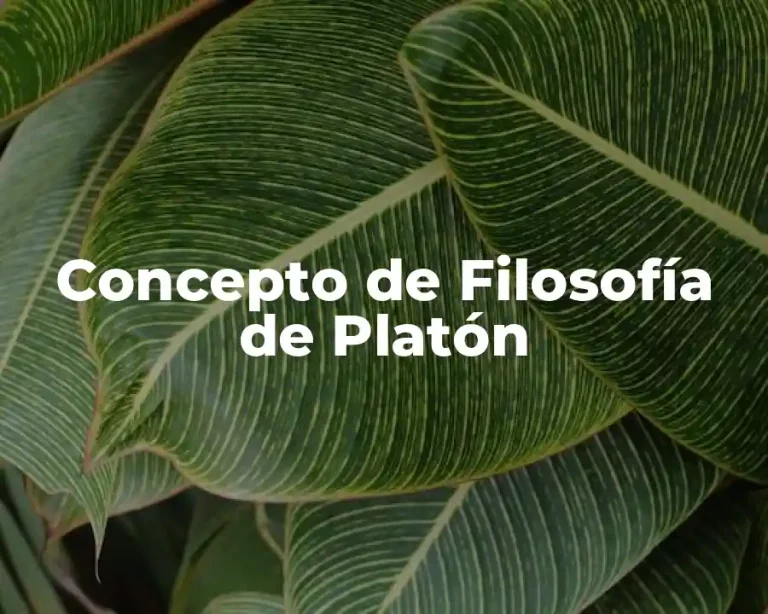 Concepto de Filosofía de Platón