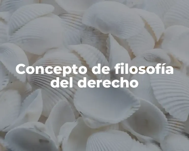 Concepto de filosofía del derecho