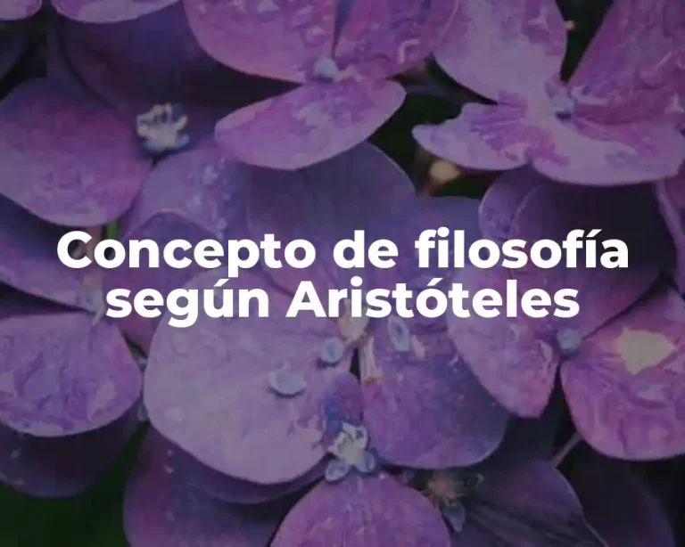 Concepto de filosofía según Aristóteles