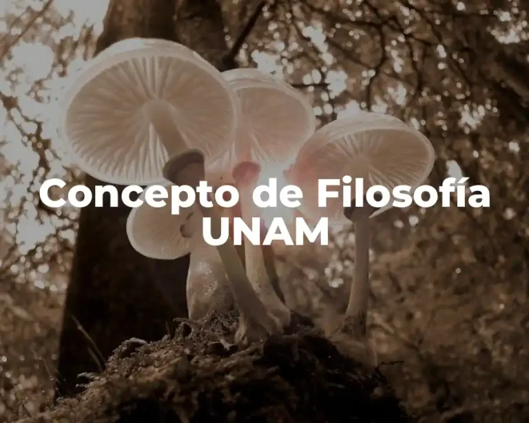 Concepto de Filosofía UNAM