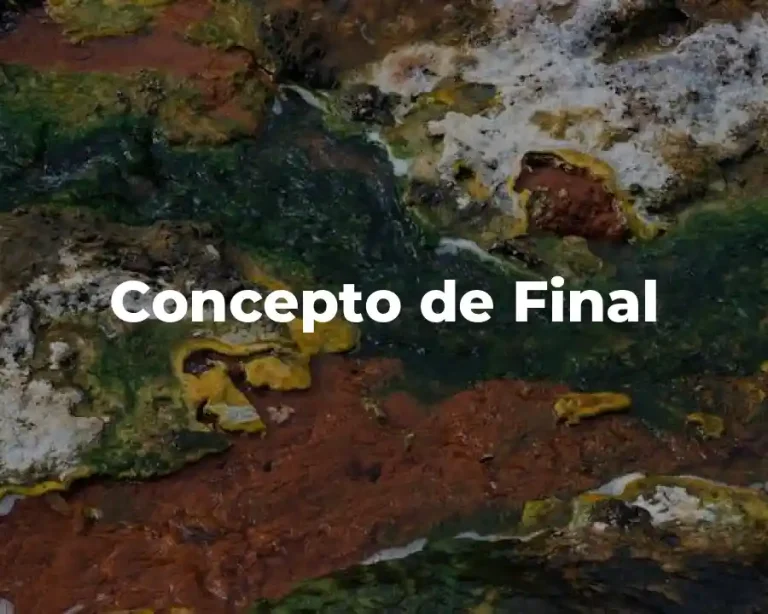 Concepto de Final