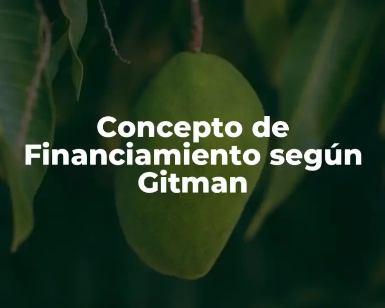 Concepto de Financiamiento según Gitman