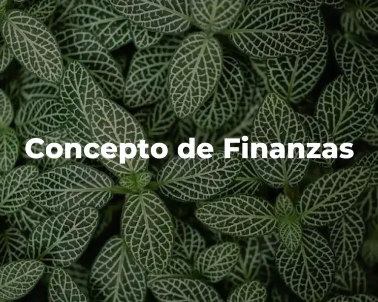 Concepto de Finanzas