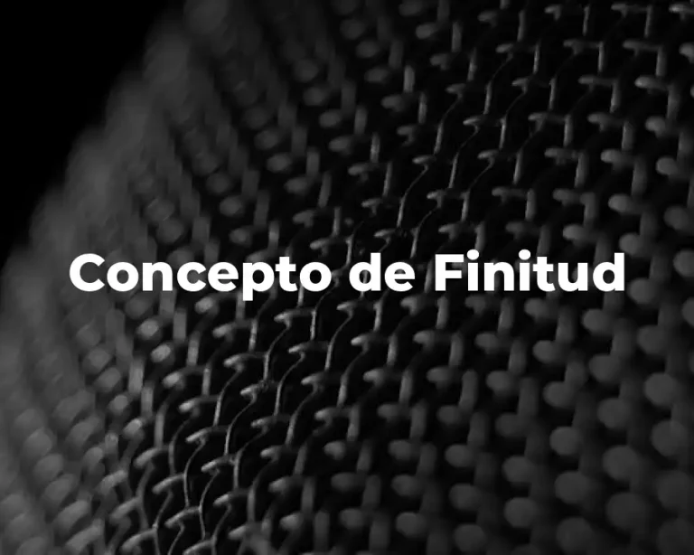 Concepto de Finitud
