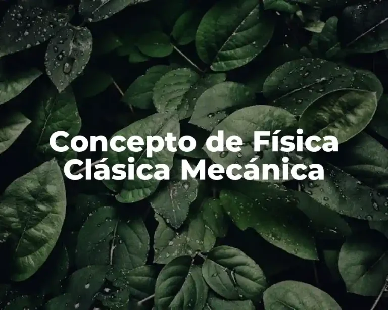 Concepto de Física Clásica Mecánica