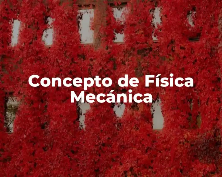 Concepto de Física Mecánica
