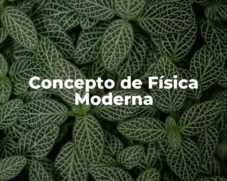 Concepto de Física Moderna