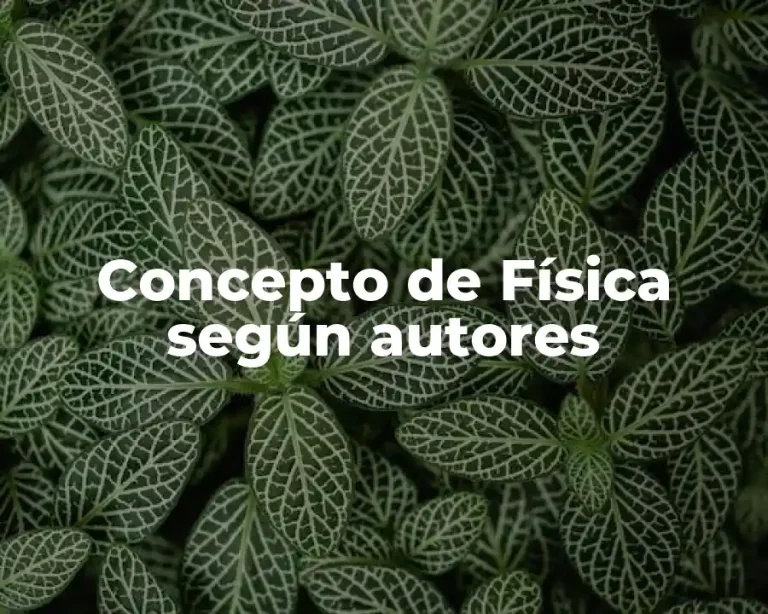 Concepto de Física según autores