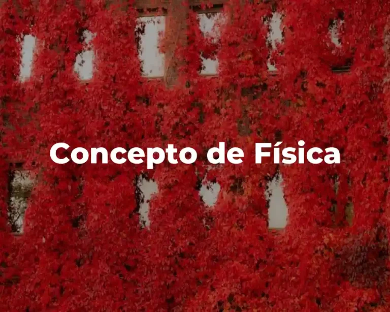 Concepto de Física