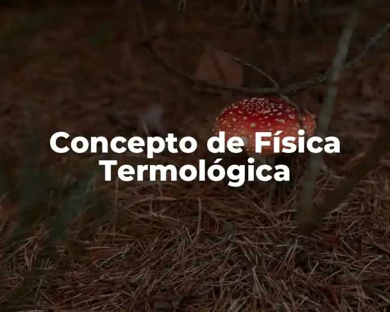 Concepto de Física Termológica