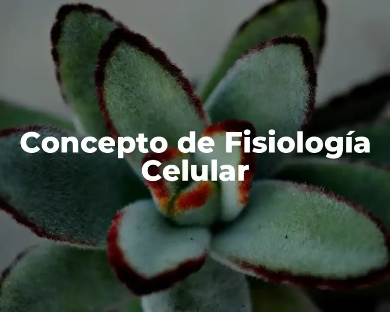 Concepto de Fisiología Celular