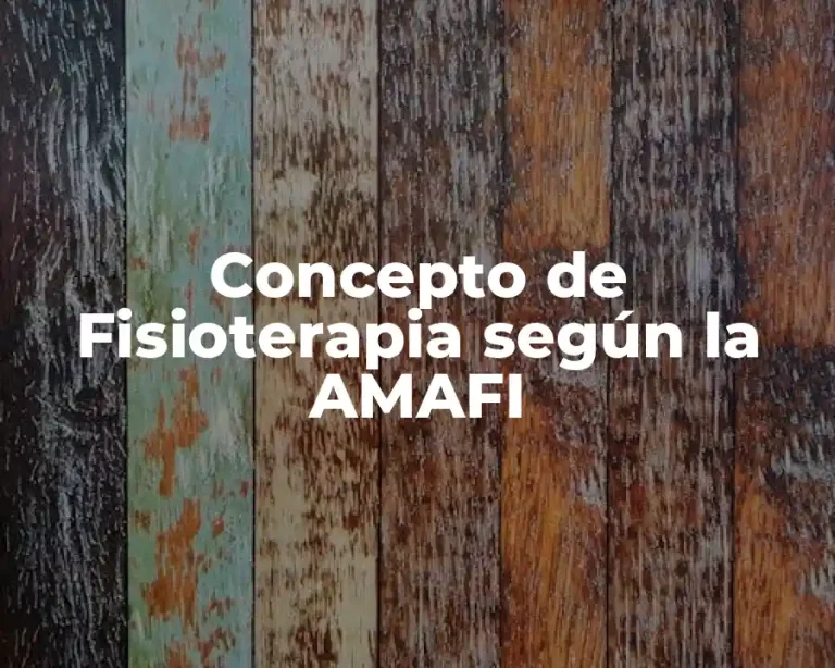 Concepto de Fisioterapia según la AMAFI