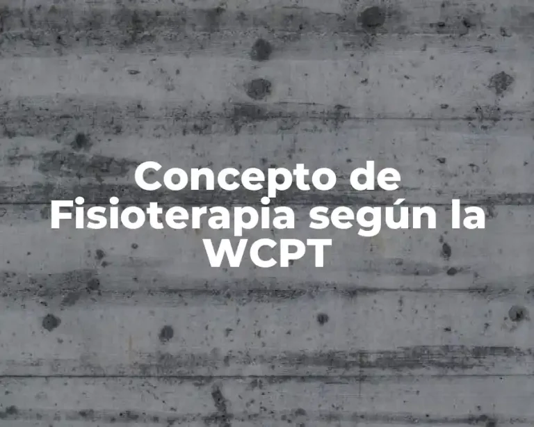 Concepto de Fisioterapia según la WCPT