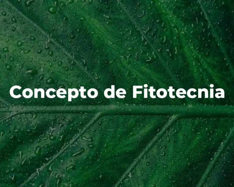 Concepto de Fitotecnia