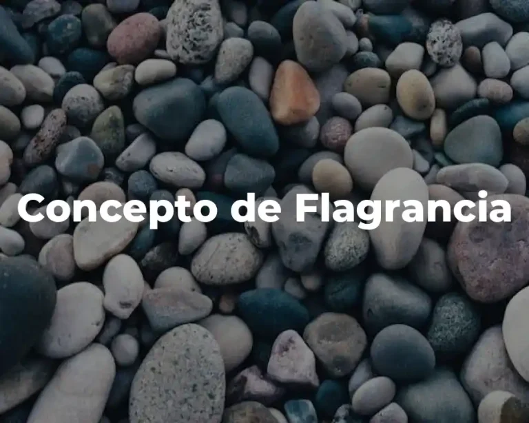 Concepto de Flagrancia