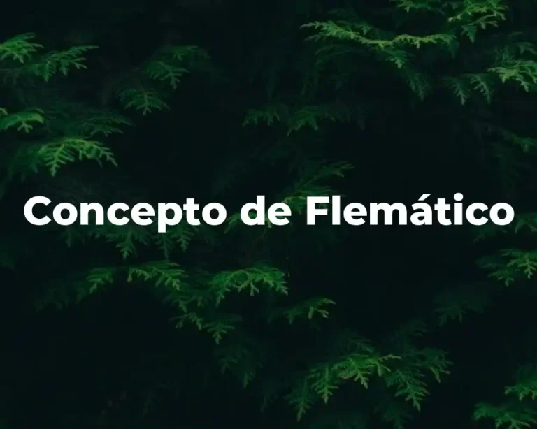 Concepto de Flemático