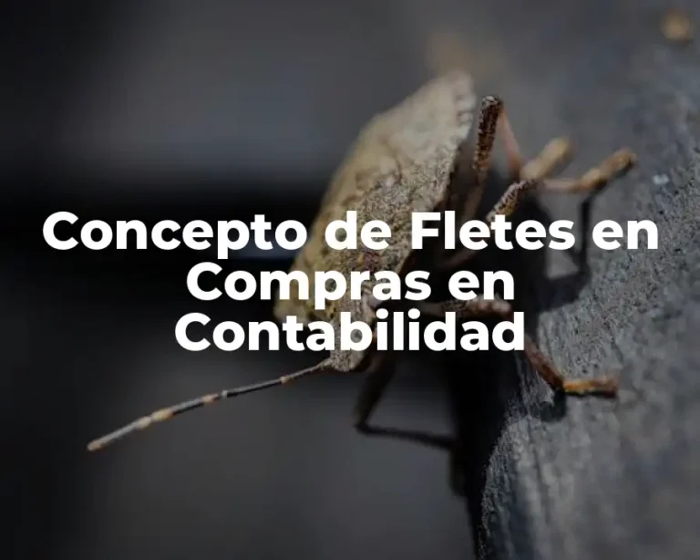 Concepto de Fletes en Compras en Contabilidad