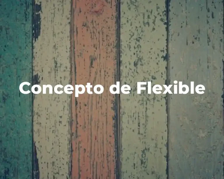 Concepto de Flexible