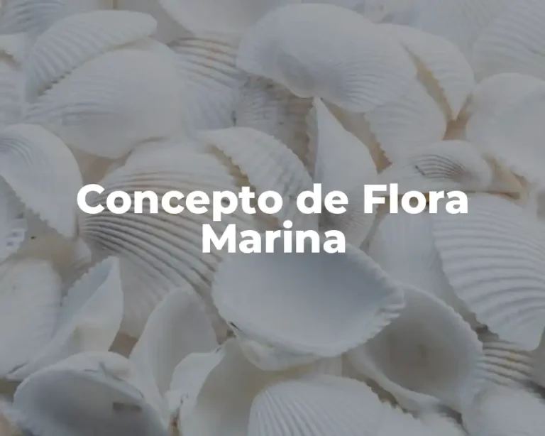 Concepto de Flora Marina