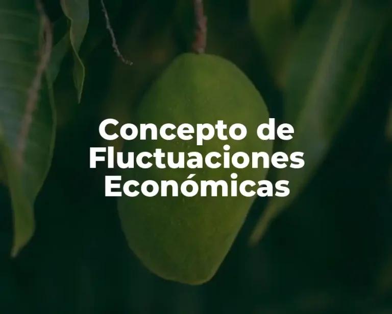 Concepto de Fluctuaciones Económicas
