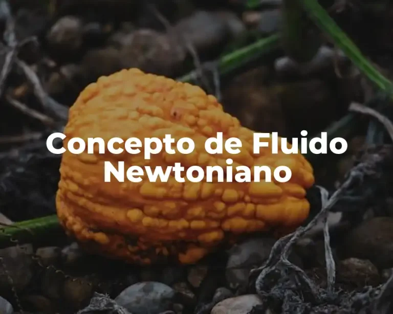 Concepto de Fluido Newtoniano