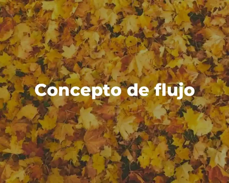 Concepto de flujo