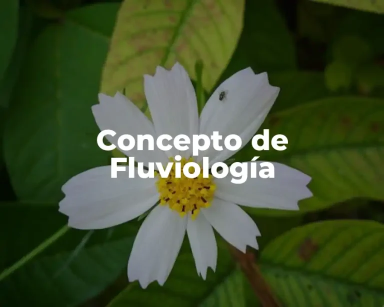 Concepto de Fluviología