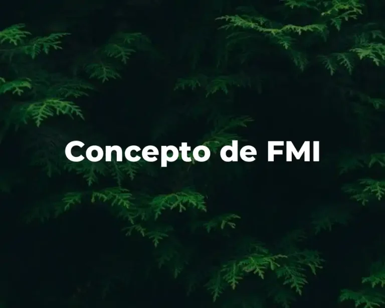 Concepto de FMI