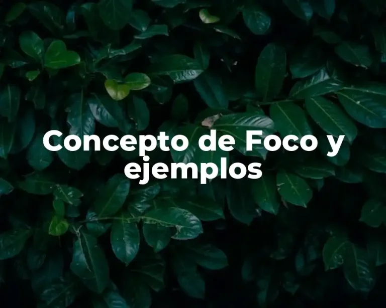 Concepto de Foco y ejemplos